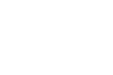 The College Experience