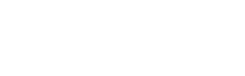 The College Experience